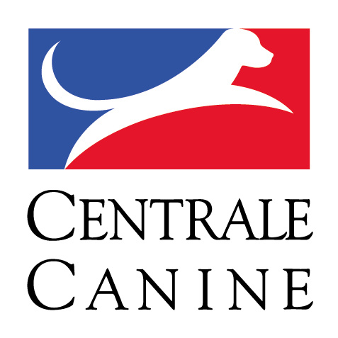 Espace centrale canine