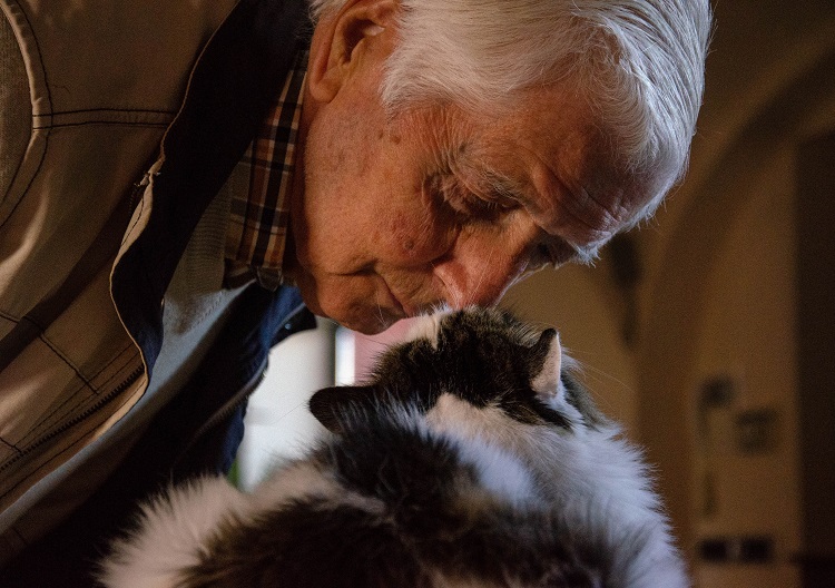Comment Adopter Un Animal Dont Le Detenteur Est Decede