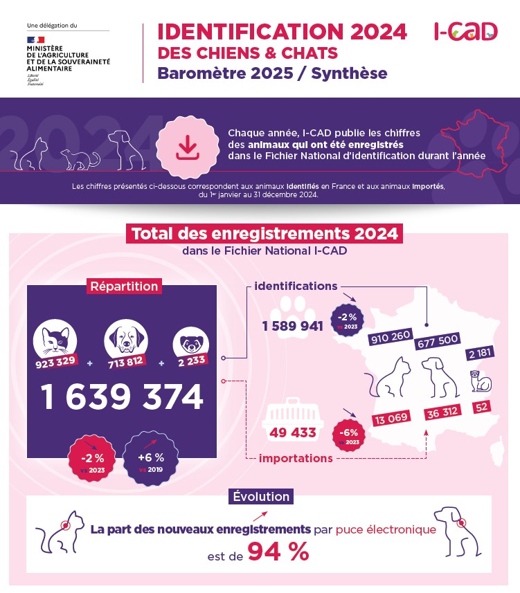 barometre identification chien chat
