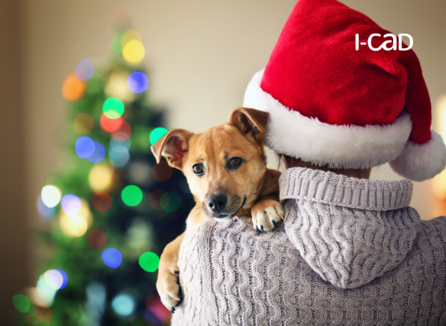 Un animal n'est pas un cadeau de Noel