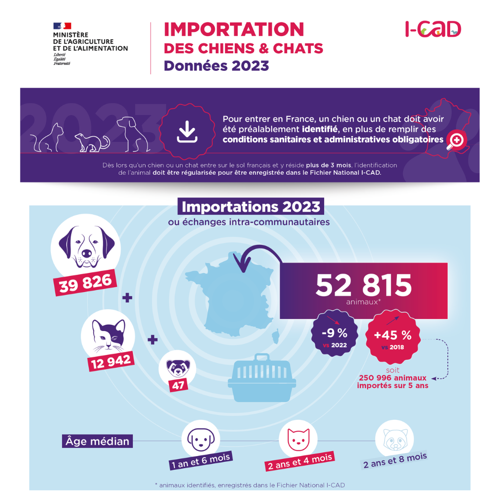 importation animaux chiens chats furets
