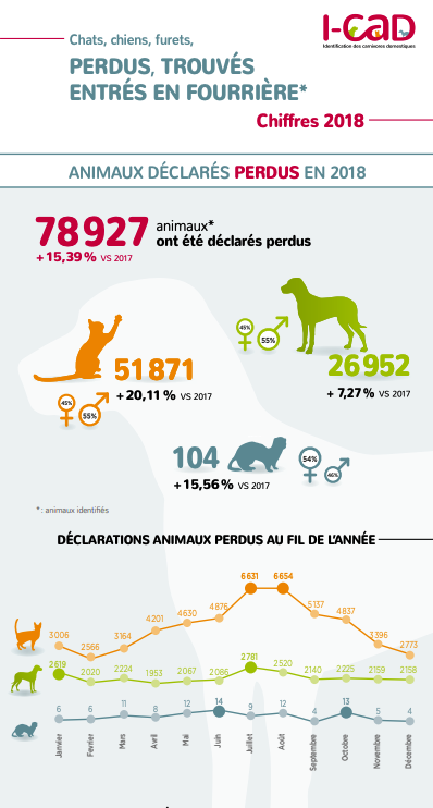 Animaux Perdus Trouves Entres En Fourriere Chiffres 18 Animaux Perdus Trouves Entres En Fourriere Chiffres 18