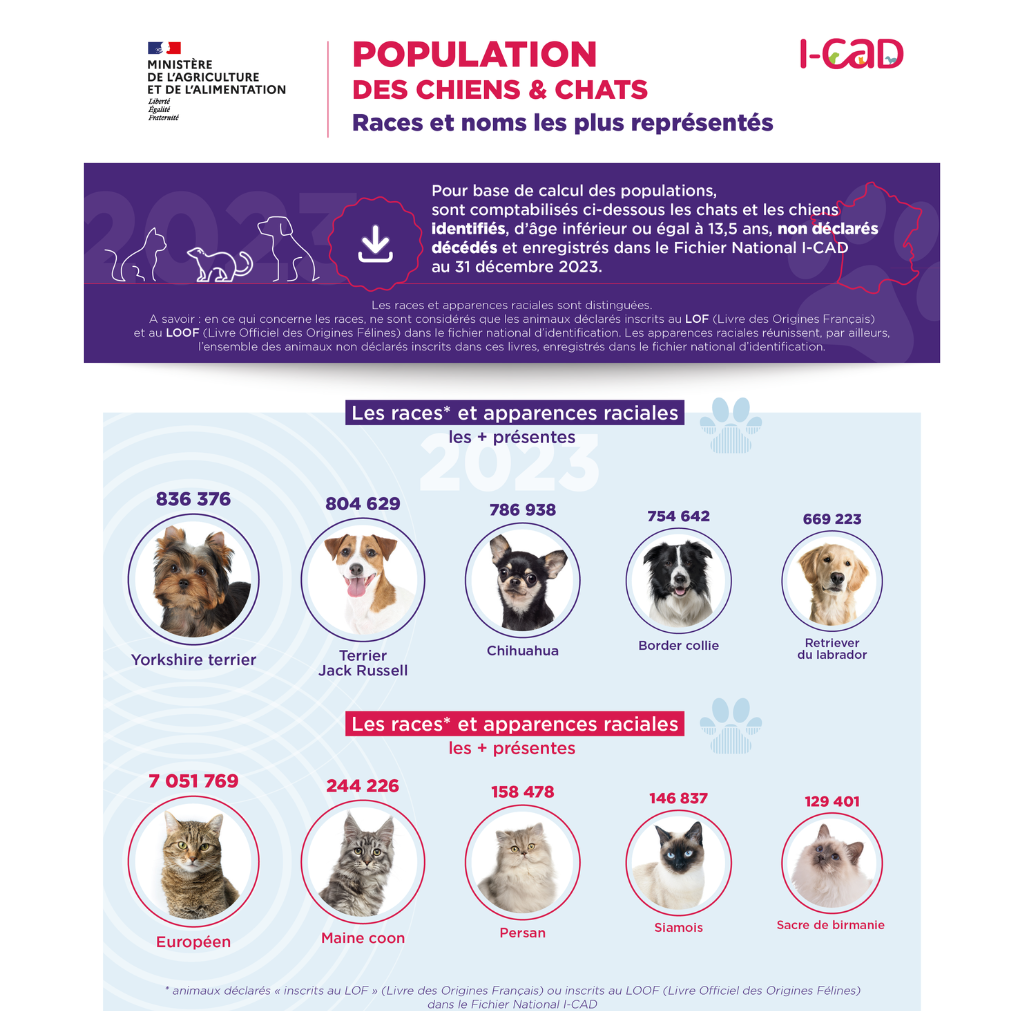 race et nom animaux chiens chats