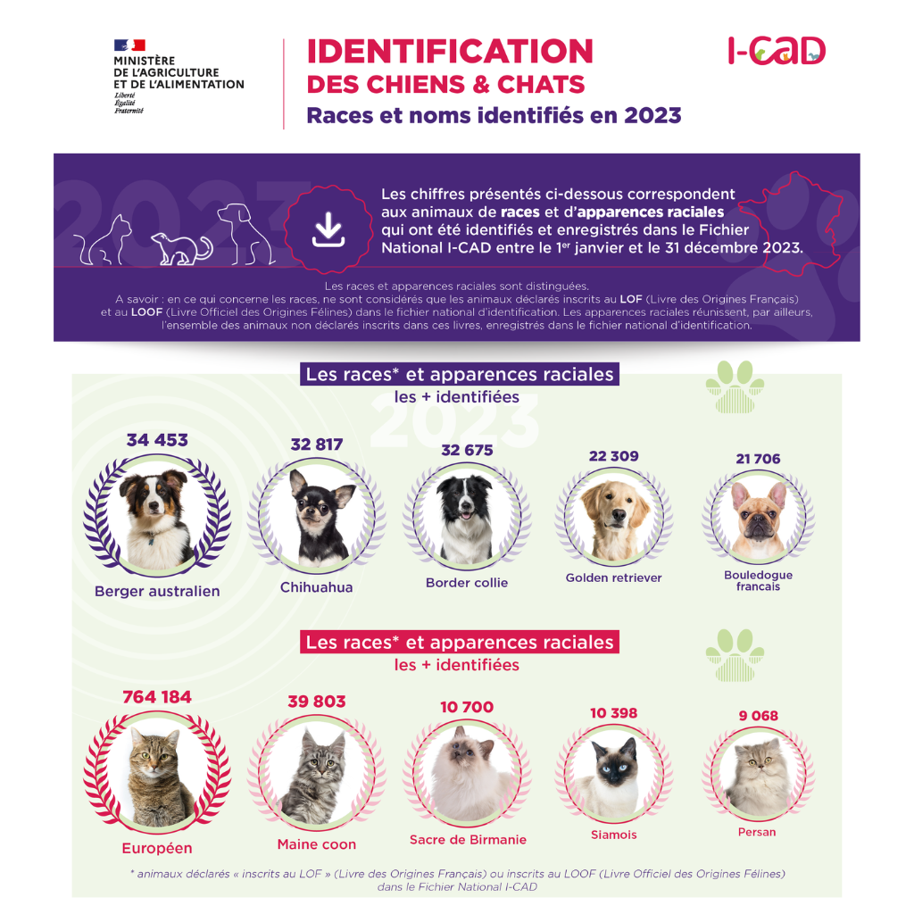 race et nom chiens et chats