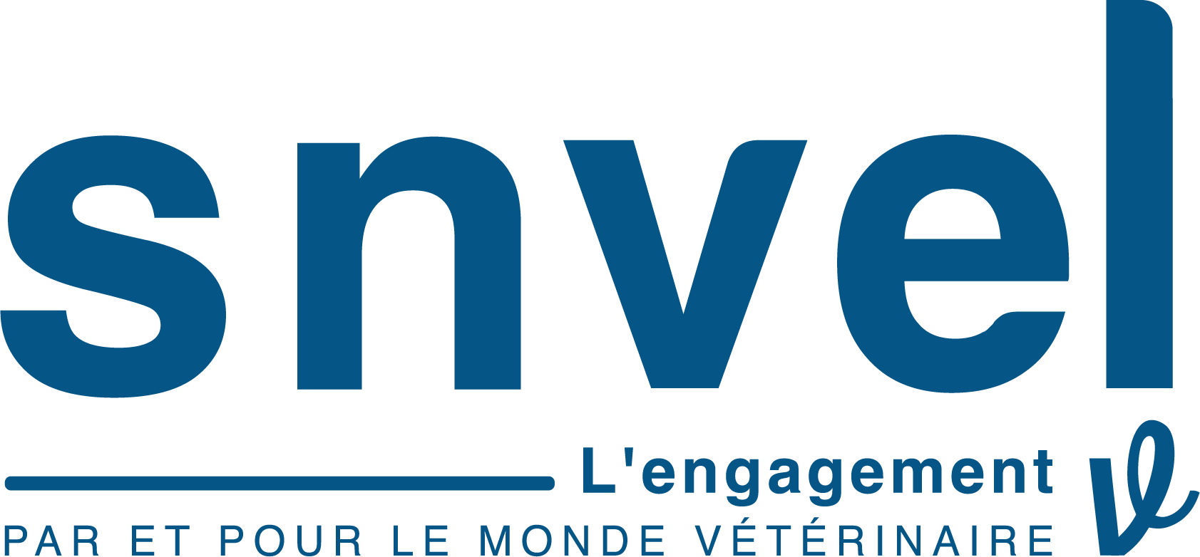 Logo SNVEL