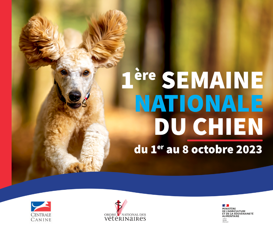 semaine nationale chien